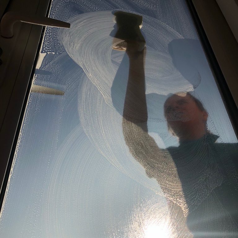 Commercial Window Cleaning