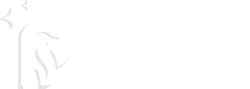 Penguin Window Cleaning
